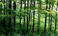 林业调查规划设计单位资格认证管理办法